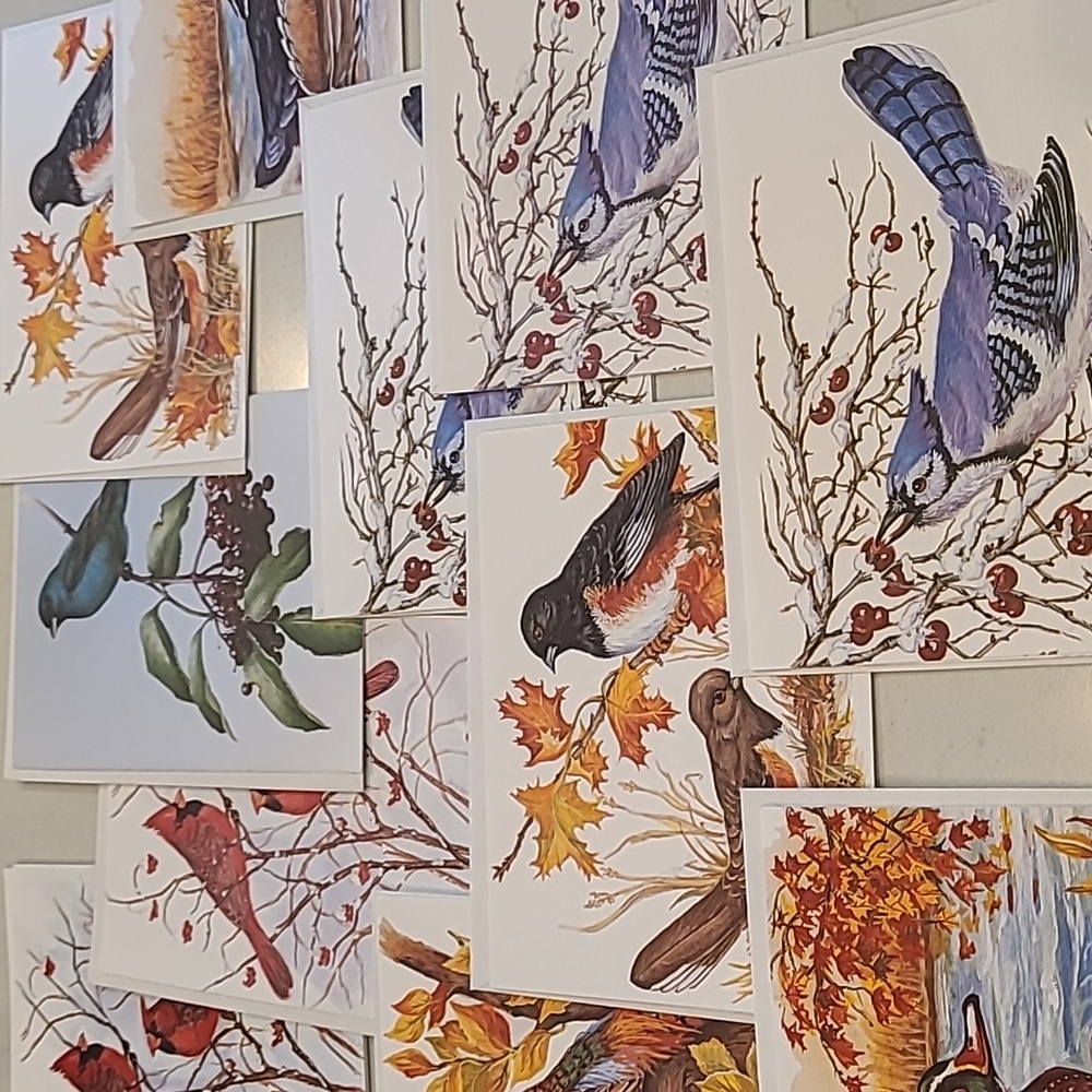 Bundle of 11 Nature Bird Greeting Cards